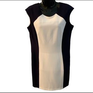Evan Picone Dress Sleeveless Sheath Sz 10